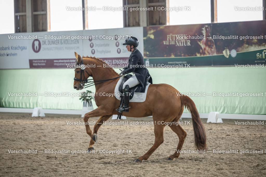 _D5A6512 | Emotionale Pferde- & People-Fotografie rund um Heidelberg, Leimen & Umgebung. Natürliche Fotos von Pferd, Mensch & Familie. Jetzt Termin sichern!