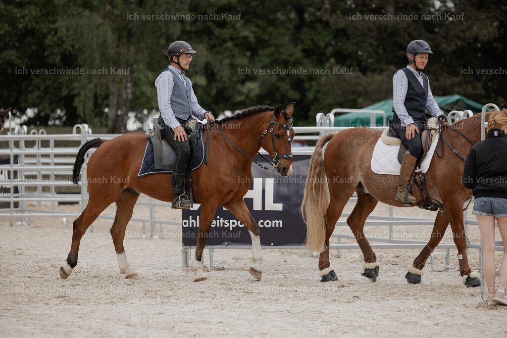 WE__Stoib_Rinder_PI2025_3178 | Pferd International München 2025