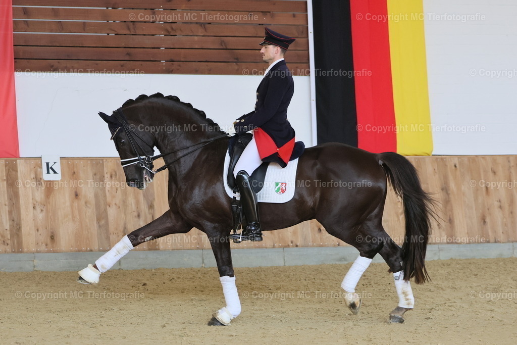 ZüSonnt.LGNRW16032025MC3H5A3168B1 | Pferdefotos online bestellen - Realisiert mit Pictrs.com