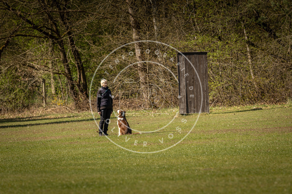 Pfotenfotografie_DV3A0435 | Hundefotografie, Tierfotograf, Pfotenfotografie, Fotoshooting Hund, Hunde Portrait, Hundesport, Hundeportraits, Heideshooting, Hunde, Sportfotograf, Hundefotograf, Turnierhundsport, THS,  - Realisiert mit Pictrs.com