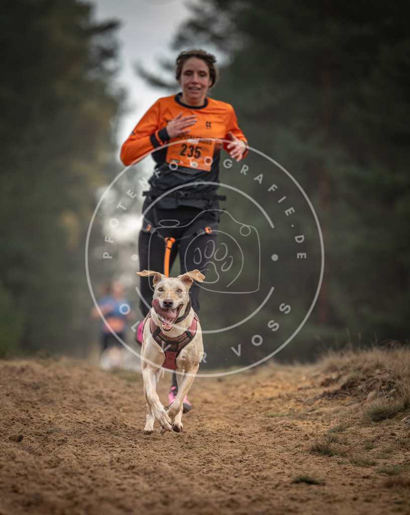 Pfotenfotografie_DV3A5555 | Hundefotografie, Tierfotograf, Pfotenfotografie, Fotoshooting Hund, Hunde Portrait, Hundesport, Hundeportraits, Heideshooting, Hunde, Sportfotograf, Hundefotograf, Turnierhundsport, THS,  - Realisiert mit Pictrs.com