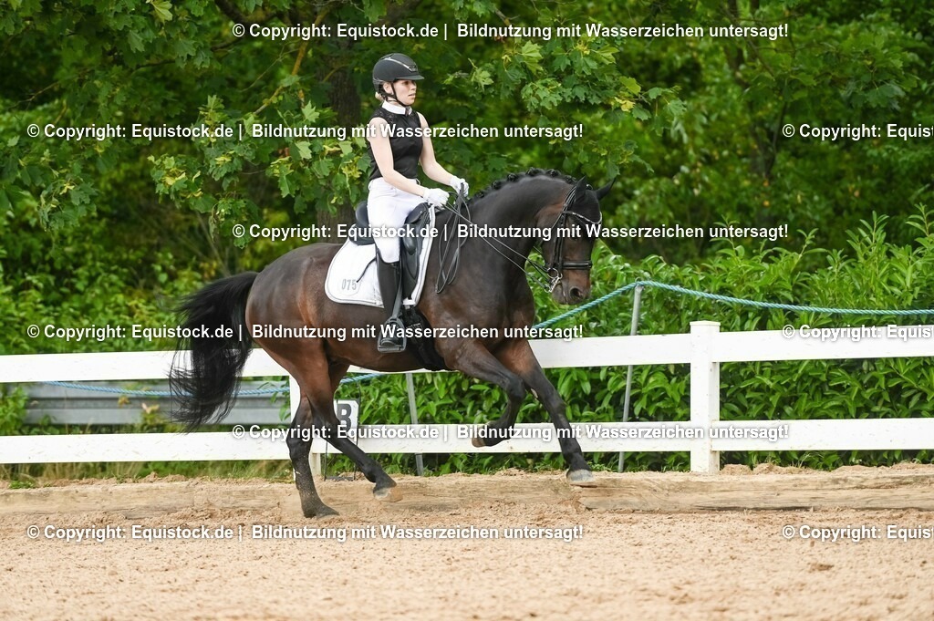 20230716_01_Dressurprüfung Kl.M_0472 | equistock