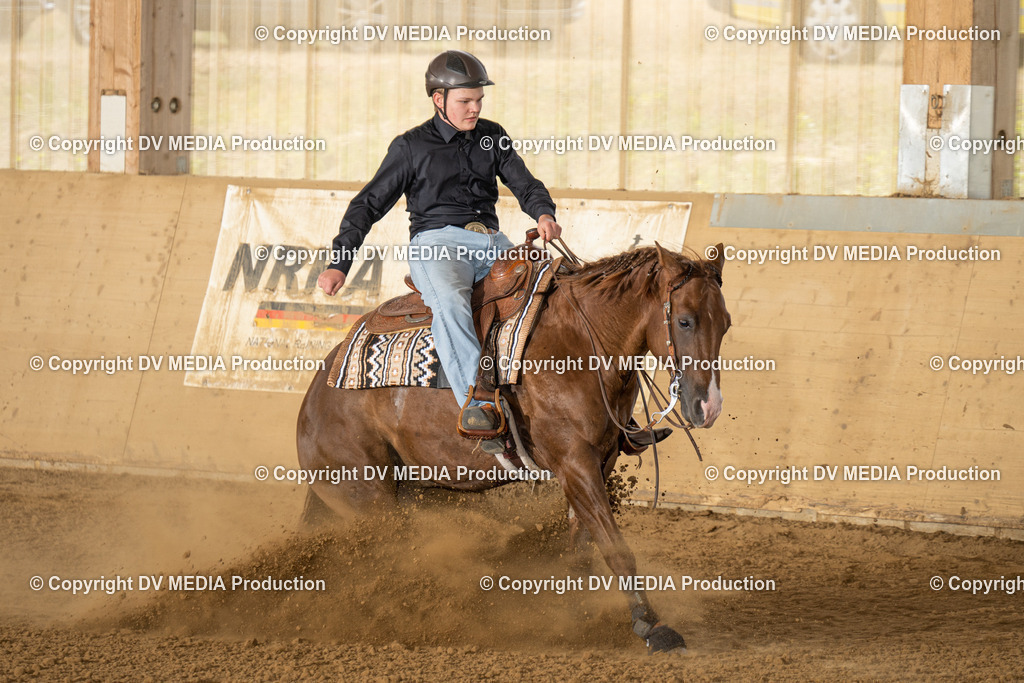 LAU01671 | dv-media-shop - Realisiert mit Pictrs.com