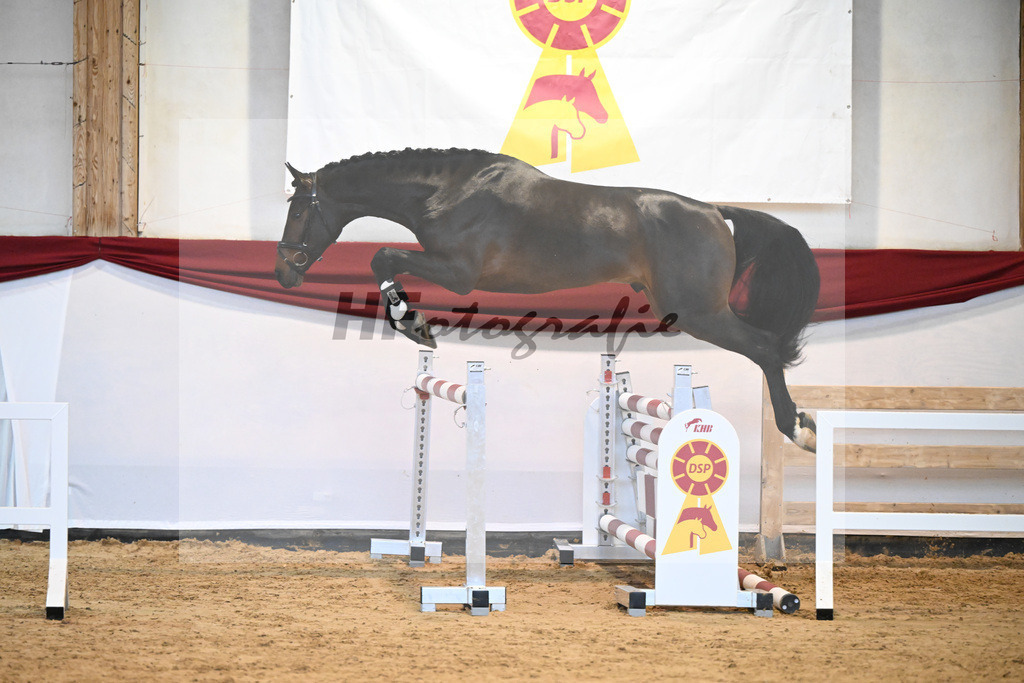 Kat-Nr. 23 Diacontinus x Luke Mc Donald_Stieglmaier_47241119 | hf-fotografie - Realizzato con Pictrs.com