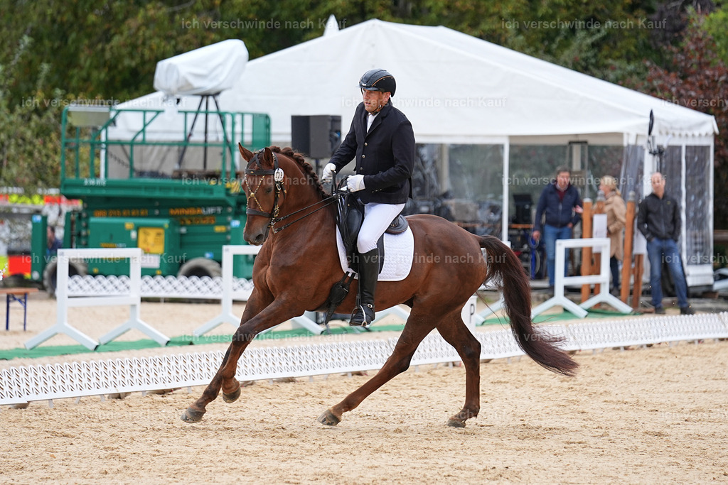 3-239-Dressur M_-Marixx-1933 | working equitationturnier fotograf videograf stoibphotography marixx film working equitation deutschland reitsport turnierfotografie eventfotografie equestrian events