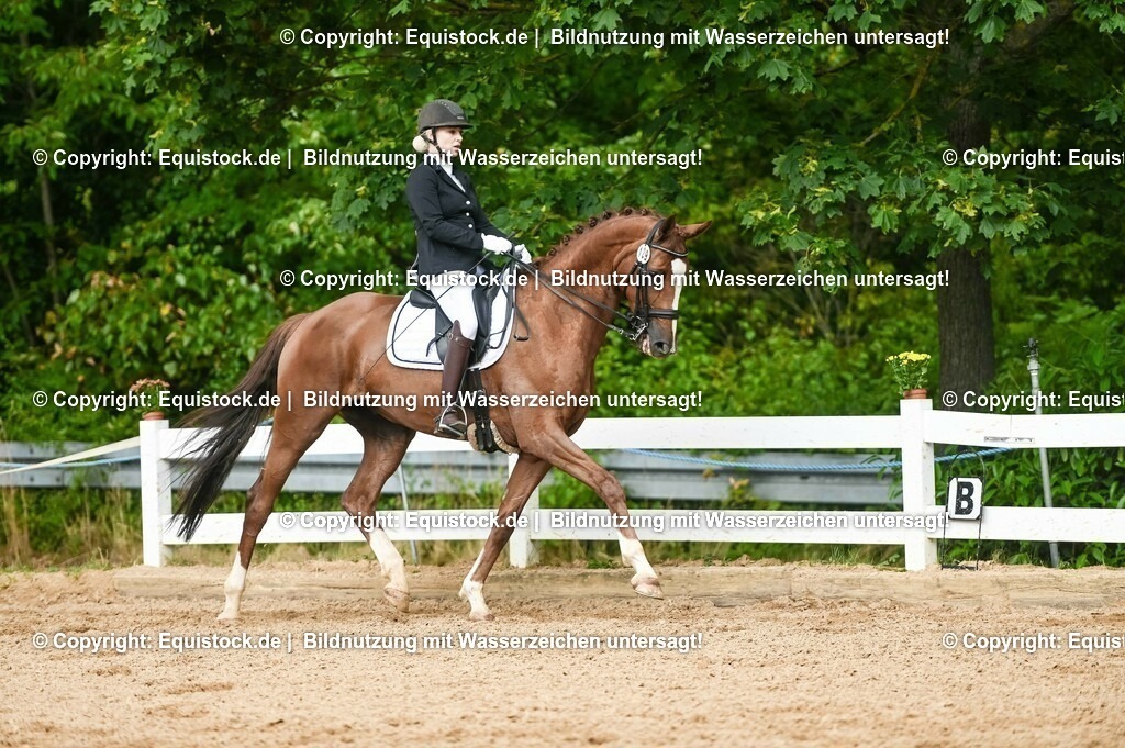 20230716_01_Dressurprüfung Kl.M_0531 | equistock