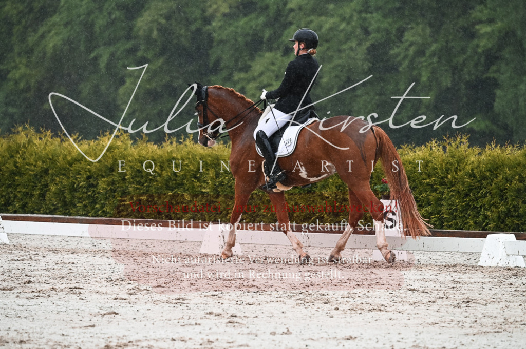 DSC_4608 | Pferde- und Turnierfotografie in Westsachsen. Pferdeportraits, Auftragszeichnungen und intuitive Kunst.