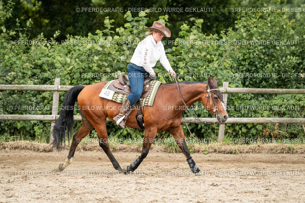 DSC04438 | Pferdegrafie