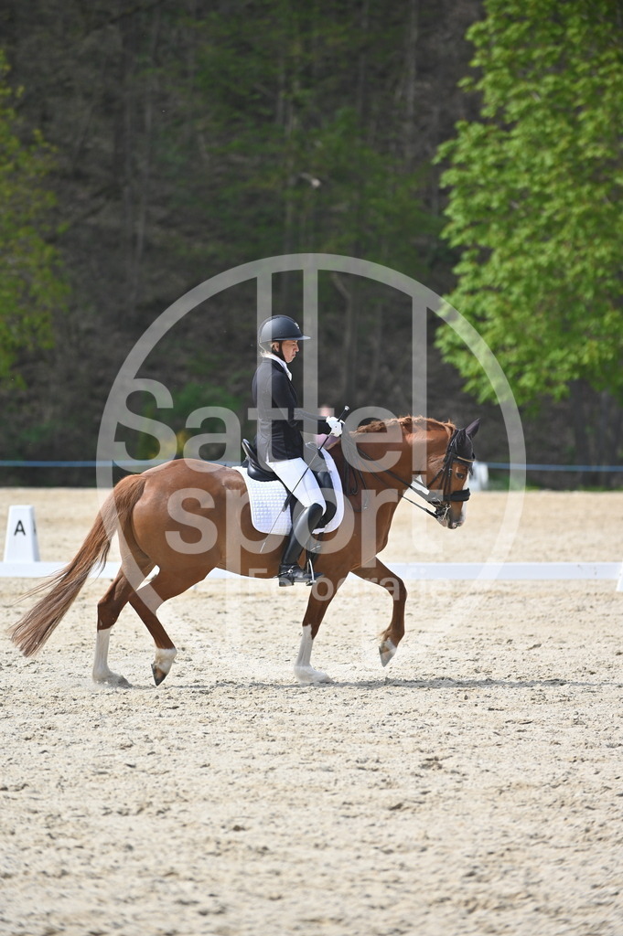 DSC_4588 | sattelsport - Realisiert mit Pictrs.com