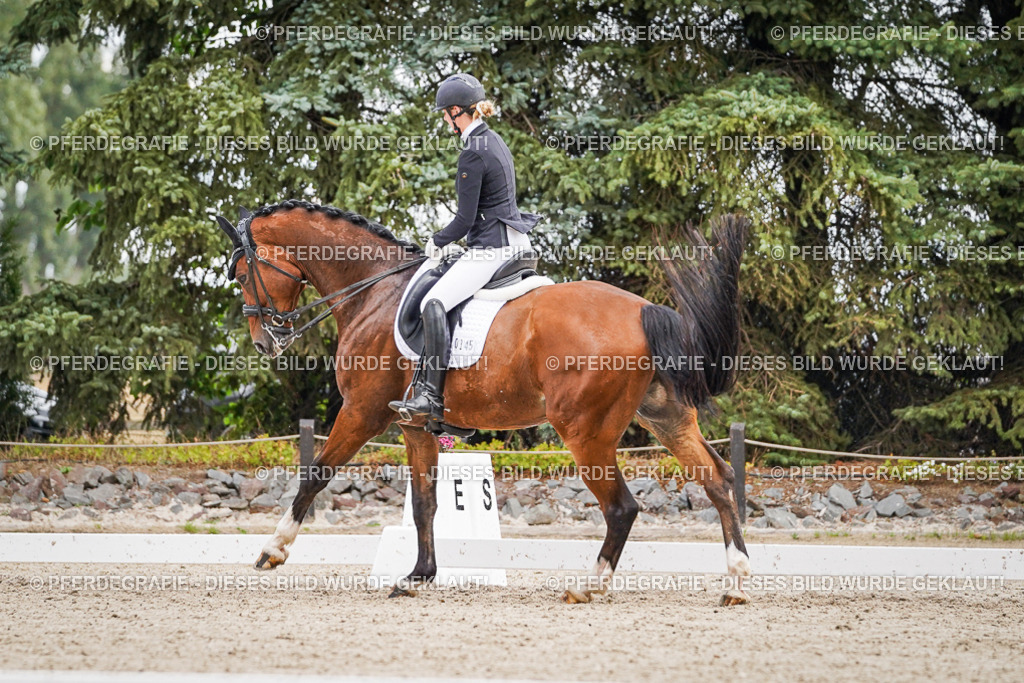 DSC04235 | Pferdegrafie