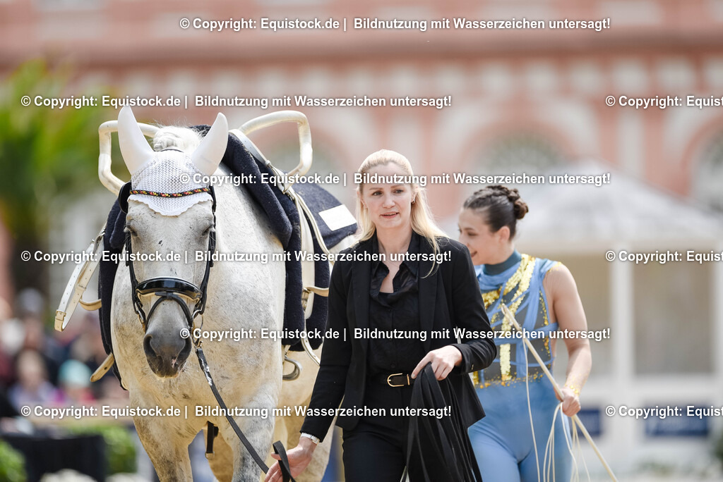 20250608_CVI-Masterclass_0146 | Foto: Thomas Hartig