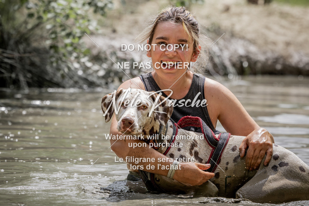 nelerasche_so1330-1400_59 | nelerasche