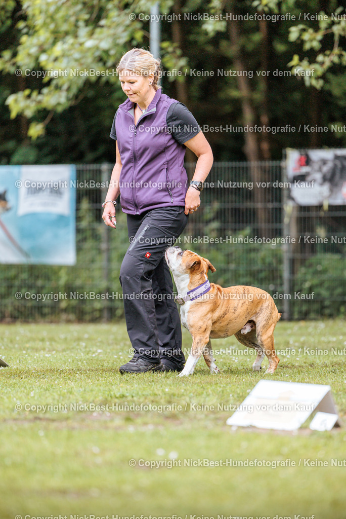 RO-Blumenthal-2026-Nickbest-Hundefotografie-1156 | Dein Hund! Dein Moment! Deine Erinnerungen! Hundefotografie in Bremen Blumenthal. Ich fange die besonderen Momente deines Vierbeiners ein – ob Indoor mit Blitzanlage oder in der freien Natur. Sicher dir dein Moment und dein Termin für eure Erinnerungen.