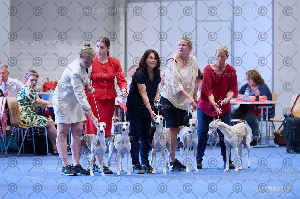 202406_ÖKV-IHA-Tulln24_DSC_3769 | proPHOTO - Realisiert mit Pictrs.com