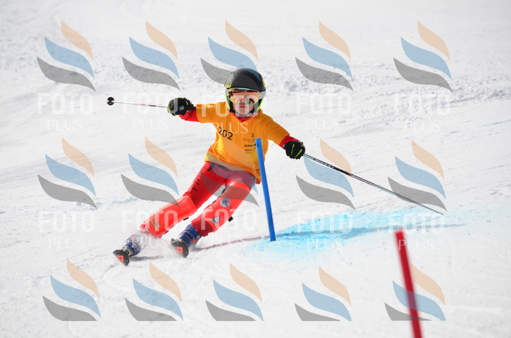 C8128 | holidayphoto