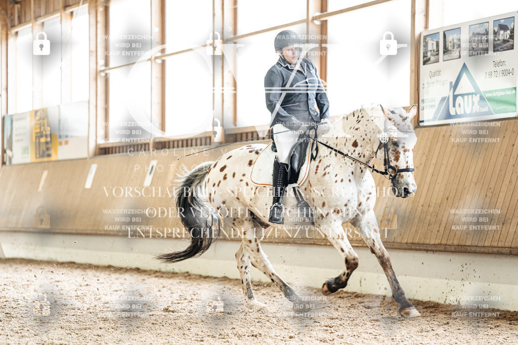 CK901202 | Turnierfotografie Pferdefotografie Trier Rheinland-Pfalz Pferdesport Reitsport Tierfotografie Sportfotografie Pferdevideo Pferdevideografie Equestrianvideography equestrianphotography  - Realisiert mit Pictrs.com
