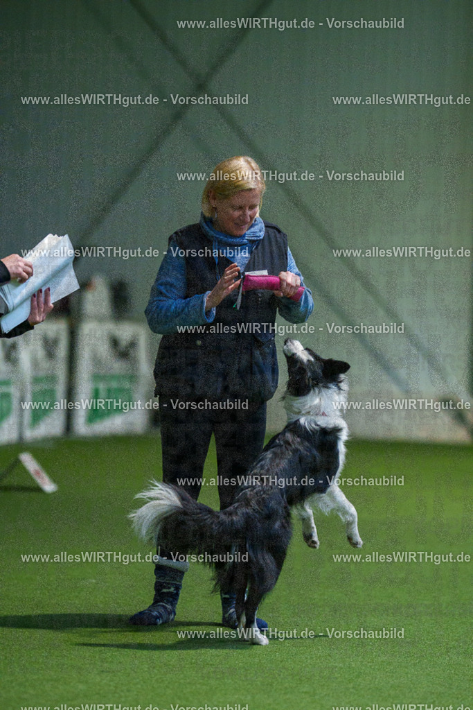 7R501056 | Professionelle Tierfotografie in Mönchengladbach von Daniel Wirth (allesWIRTHgut). Liebevolle & natürliche Bilder von Hunden & Katzen für unvergessliche Erinnerungen.
