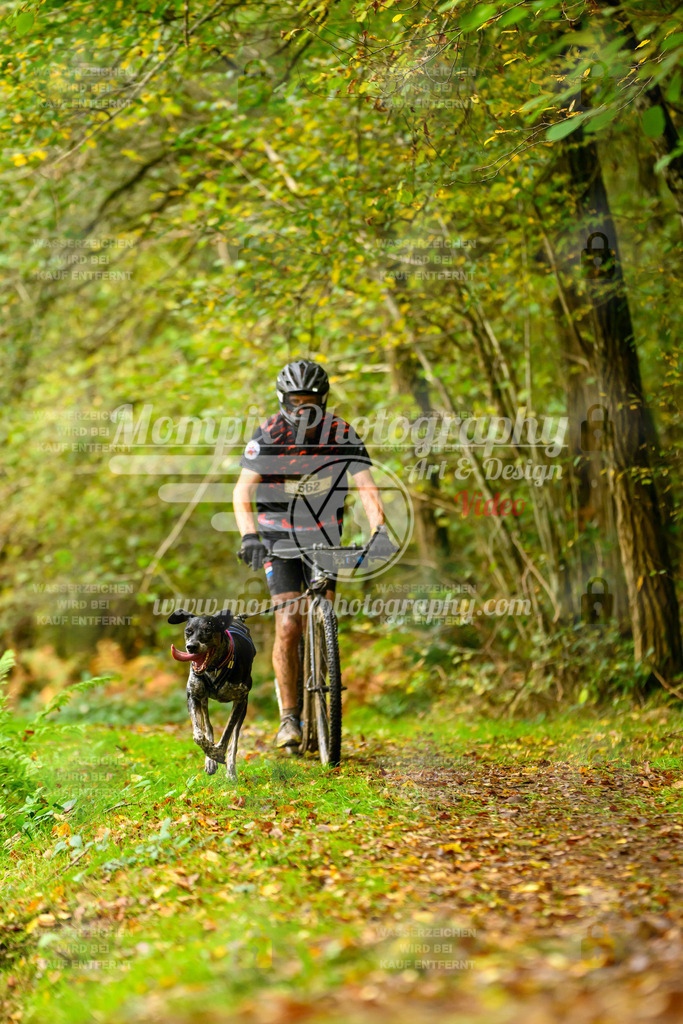 MompixPhotography_20TSB_E1_Doppel-37 | PayLife