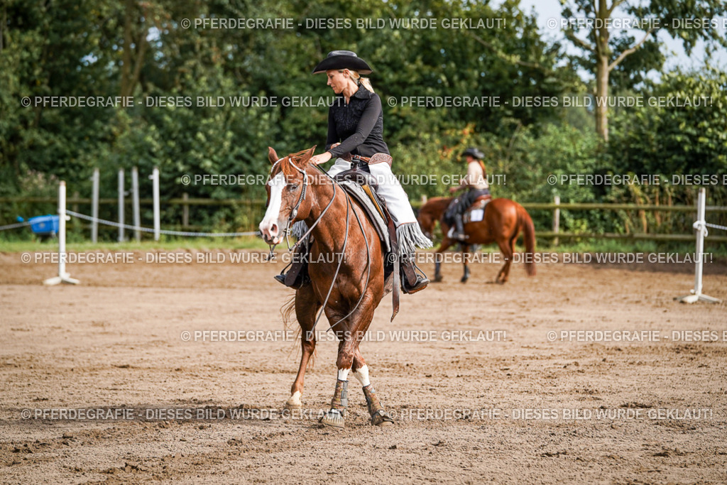 DSC09769 | Pferdegrafie