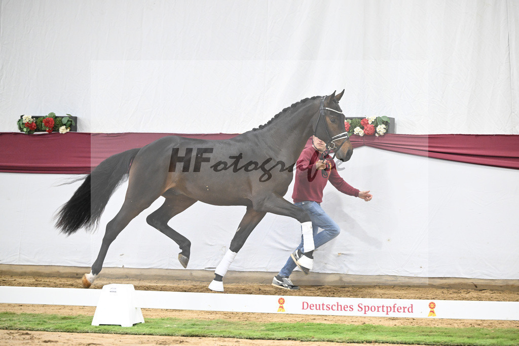 Kat-Nr. 21 St. Emilion x Quantensprung_Marianne Jerich_47250671 | hf-fotografie - Realisiert mit Pictrs.com