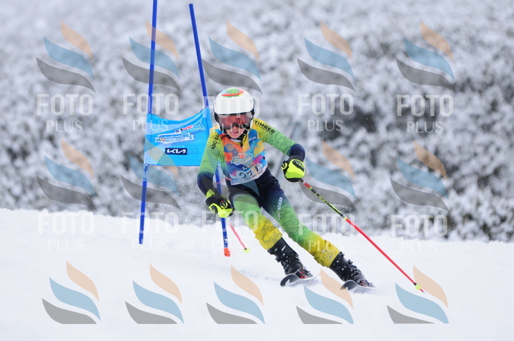 C2931 | holidayphoto