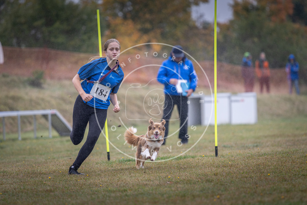 Pfotenfotografie_DV3A0051 | Hundefotografie, Tierfotograf, Pfotenfotografie, Fotoshooting Hund, Hunde Portrait, Hundesport, Hundeportraits, Heideshooting, Hunde, Sportfotograf, Hundefotograf, Turnierhundsport, THS,  - Realisiert mit Pictrs.com