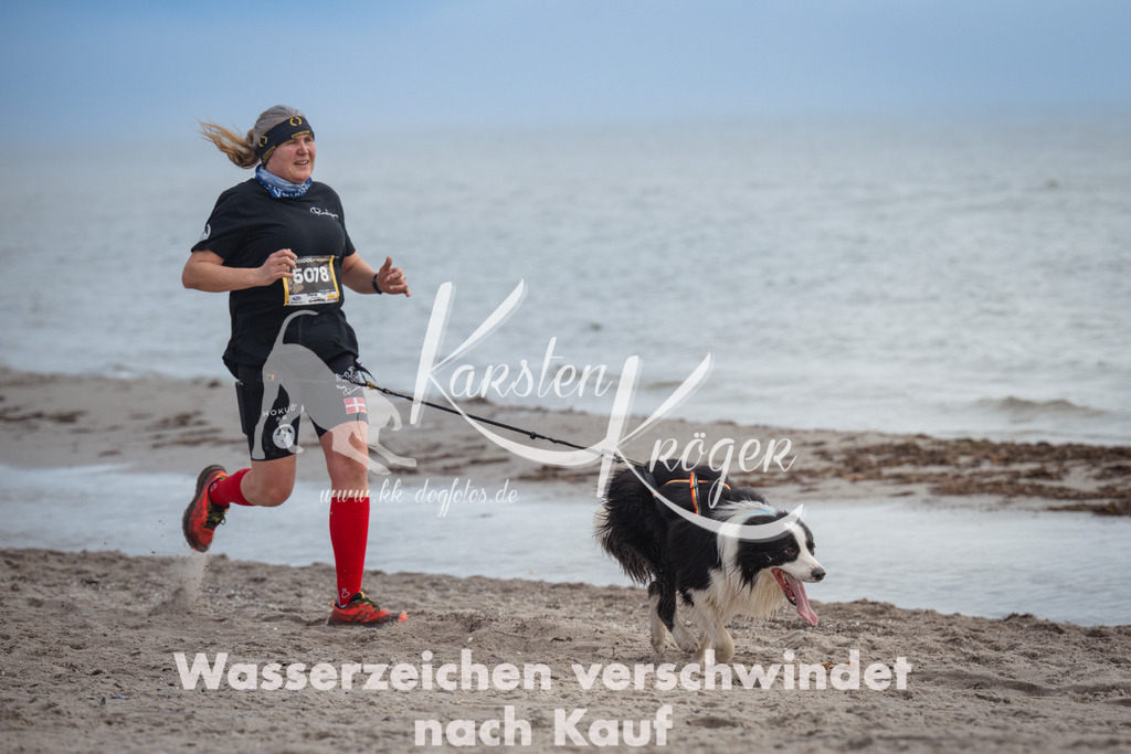 1145_ZZ90675 | kk-dogfotos