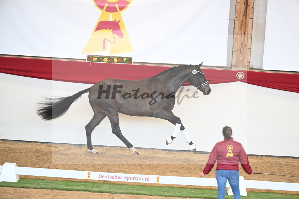Kat.-Nr. 87 v. Vitalis_Berger _ Beckmann_2250951 | hf-fotografie - Realisiert mit Pictrs.com