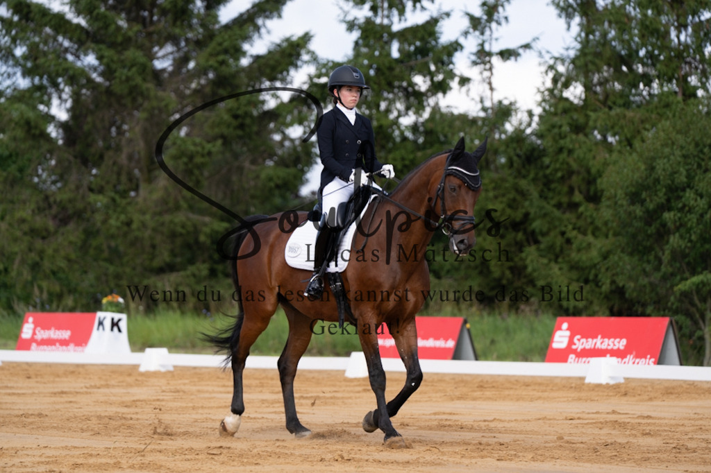 A7V05113 | Pferdefotograf