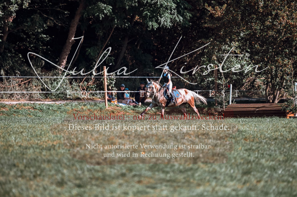DSC_0711 | Pferde- und Turnierfotografie in Westsachsen. Pferdeportraits, Auftragszeichnungen und intuitive Kunst.