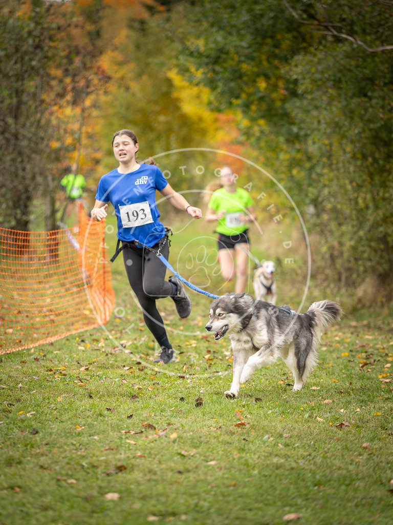 Pfotenfotografie_DV3A3902 | Hundefotografie, Tierfotograf, Pfotenfotografie, Fotoshooting Hund, Hunde Portrait, Hundesport, Hundeportraits, Heideshooting, Hunde, Sportfotograf, Hundefotograf, Turnierhundsport, THS,  - Realisiert mit Pictrs.com