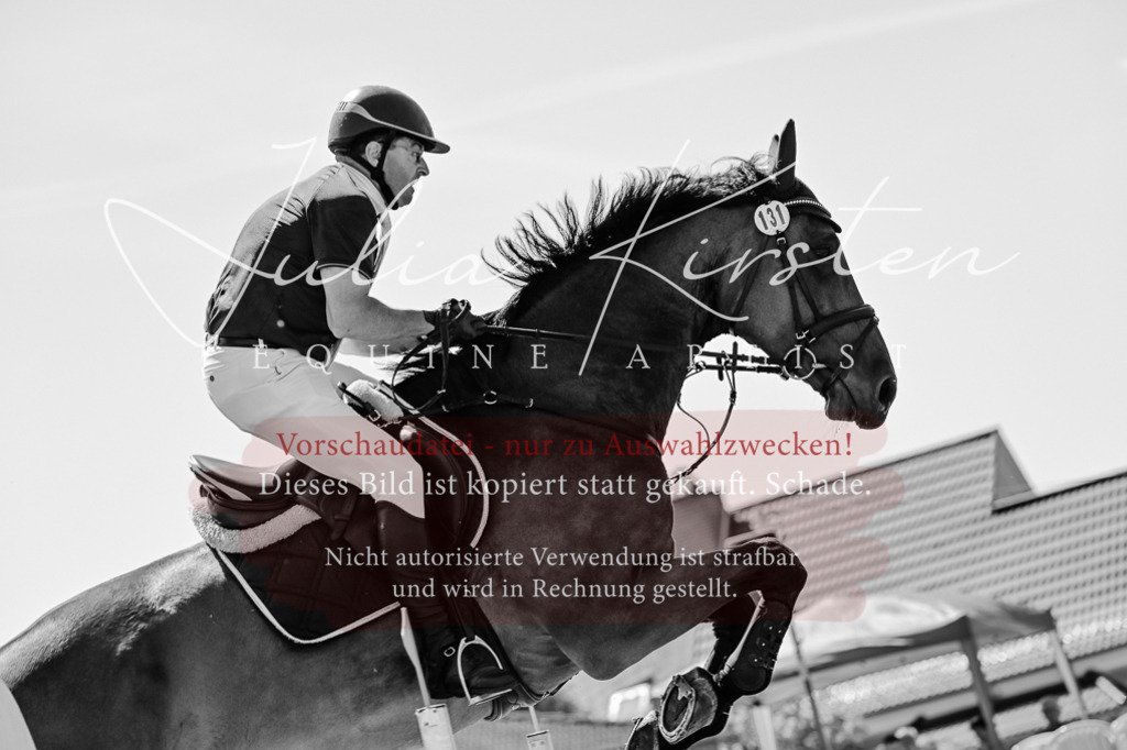 DSC_0996 | Pferde- und Turnierfotografie in Westsachsen. Pferdeportraits, Auftragszeichnungen und intuitive Kunst.