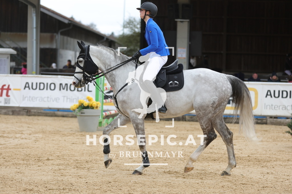 0P6A3680 | Willkommen bei Brunnmayr - Design & Fotografie – Ihrem Spezialisten für Reitturniere und Pferdeveranstaltungen in Oberösterreich, Salzburg und Bayern! Seit über 17 Jahren sind wir leidenschaftlich dabei.