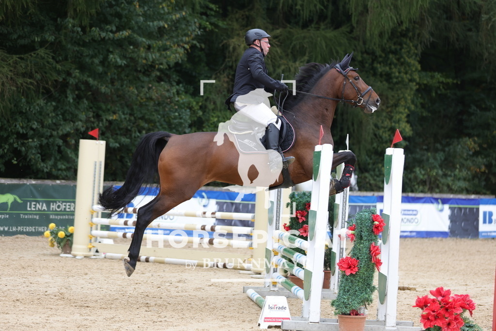 0P6A5816 | Willkommen bei Brunnmayr - Design & Fotografie – Ihrem Spezialisten für Reitturniere und Pferdeveranstaltungen in Oberösterreich, Salzburg und Bayern! Seit über 17 Jahren sind wir leidenschaftlich dabei.