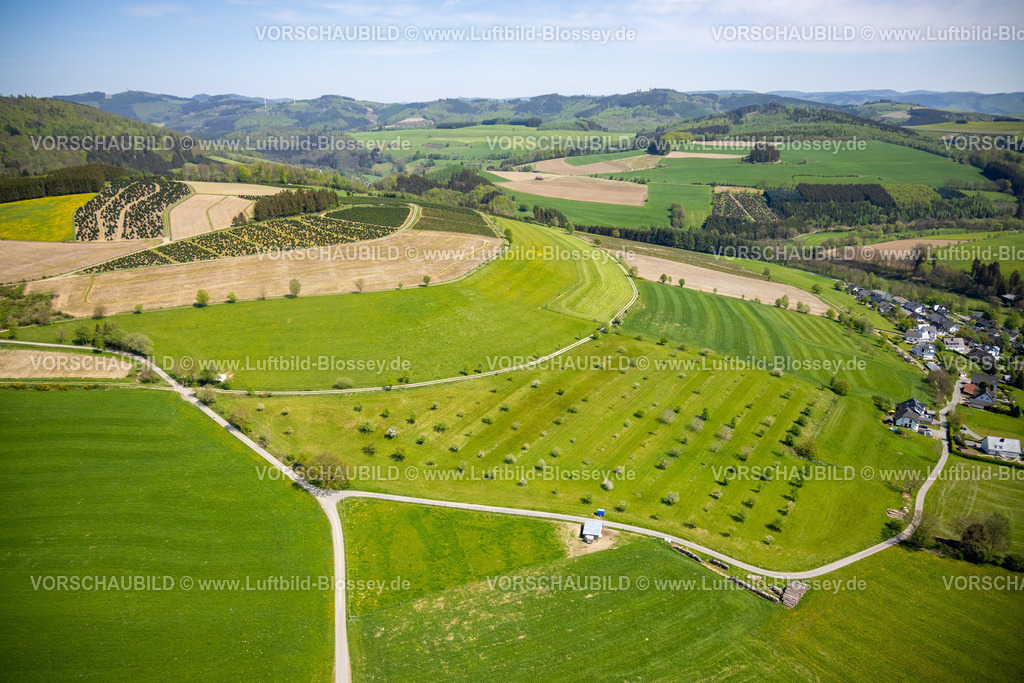Schmallenberg240504997Boedefeld | Luftbild, Waldschonung und waldige Hügellandschaft mit Fernsicht, Westernbödefeld, Schmallenberg, Sauerland, Nordrhein-Westfalen, Deutschland