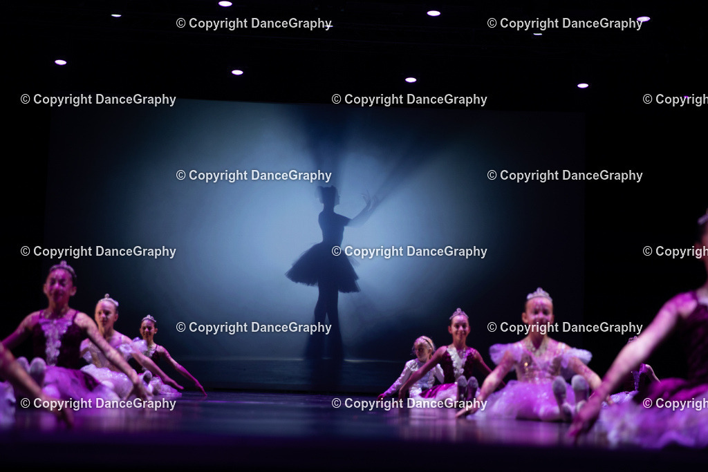 GPHY5231 | DanceGraphy - Realisiert mit Pictrs.com