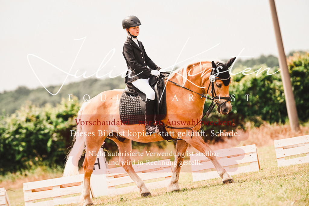 DSC_6255 | Pferde- und Turnierfotografie in Westsachsen. Pferdeportraits, Auftragszeichnungen und intuitive Kunst.