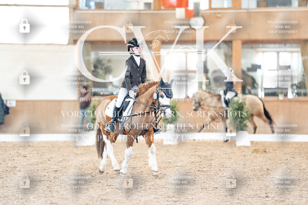 CK907255 | Turnierfotografie Pferdefotografie Trier Rheinland-Pfalz Pferdesport Reitsport Tierfotografie Sportfotografie Pferdevideo Pferdevideografie Equestrianvideography equestrianphotography  - Realisiert mit Pictrs.com