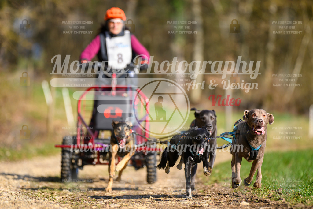 MompixPhotography_ReiatRennen2024_Nome-26 | PayLife