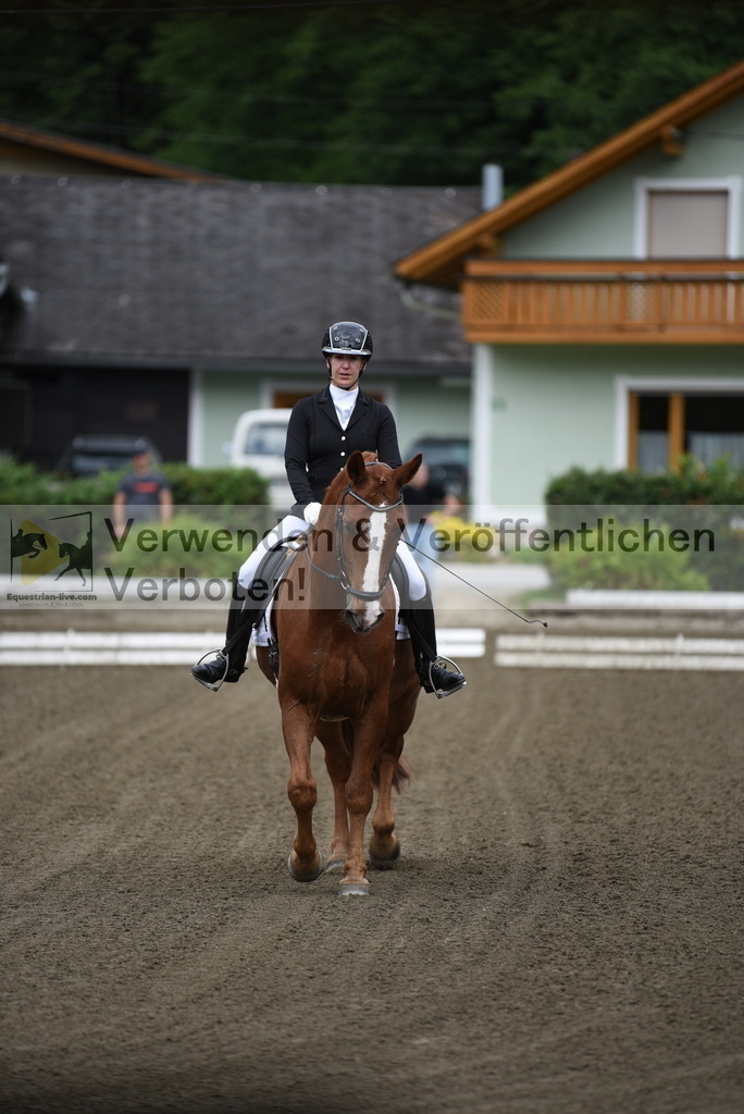 DSC_3612 | equestrian-live-com