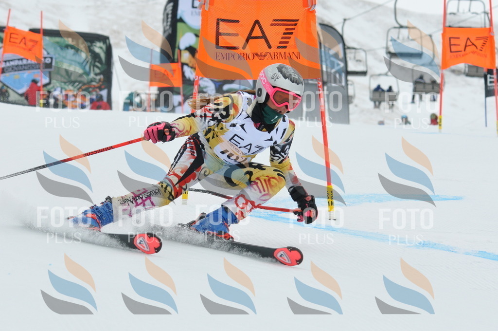 DSC_8908 | holidayphoto