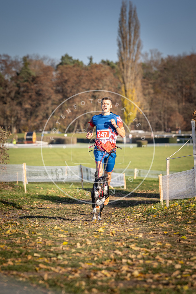 CaniXpix_DV3A0429 | Hundefotografie, Tierfotograf, Pfotenfotografie, Fotoshooting Hund, Hunde Portrait, Hundesport, Hundeportraits, Heideshooting, Hunde, Sportfotograf, Hundefotograf, Turnierhundsport, THS,  - Realisiert mit Pictrs.com