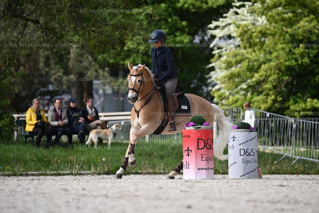 PI26_ST_Sara_Landvogt226_2253.JPG | working equitationturnier fotograf videograf stoibphotography marixx film working equitation deutschland reitsport turnierfotografie eventfotografie equestrian events