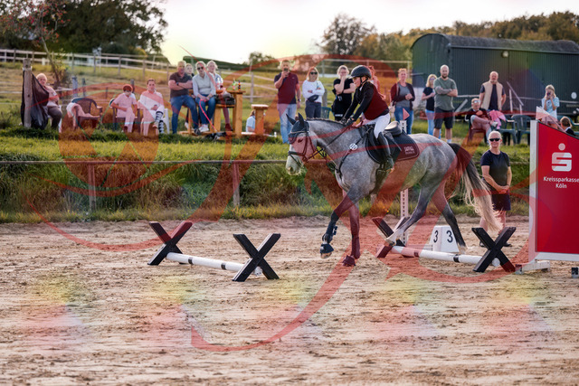 2026_10_03_Siefer-Hof_145110_Z81_29565033 | Professionelle Reitsport-, Turnier- und Eventfotografie von Robert Broda. Galerien mit ausgewählten und bearbeiteten Bildern direkt online ansehen und bestellen.