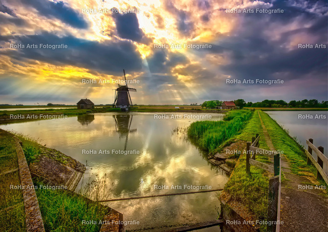 000142-22062016-155545_Texel | Im Foto-Shop von RoHa Arts Fotografie können Sie verschiedene Fotos und Fotoprodukte kaufen. - Realisiert mit Pictrs.com