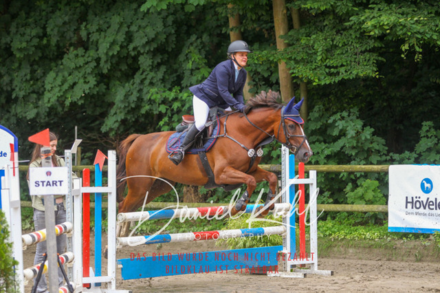 DKP44967 | Turnierfotos kaufen im Webshop von Daniel Kuhl Photography – entdecke professionelle Reitsportfotos aus Turnieren & Events. Hochwertige Turnierbilder online bestellen & sichern. Jetzt Fotos von Reitsportturnieren kaufen!
