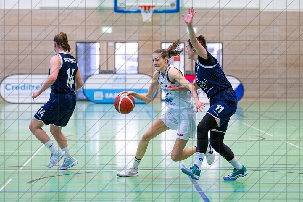 2. DBBL Nord 24/25 | 02.03.2025 | BBC OS vs. New Basket Oberhausen | 2. DBBL Nord 24/25 | 02.03.2025 | BBC OS vs. New Basket Oberhausen - - - - - CREDIT, www.bullenfotos.de, Martin König, Hörner Weg 40, D-49078 Osnabrück, +4917663732967, Nutzung und Weitergabe nur zu den vereinbarten Zwecken. Presseanfragen an Urheber. Alle Rechte beim Urheber. - - - - - - Realisiert mit Pictrs.com