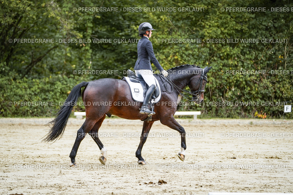 DSC09207 | Pferdegrafie