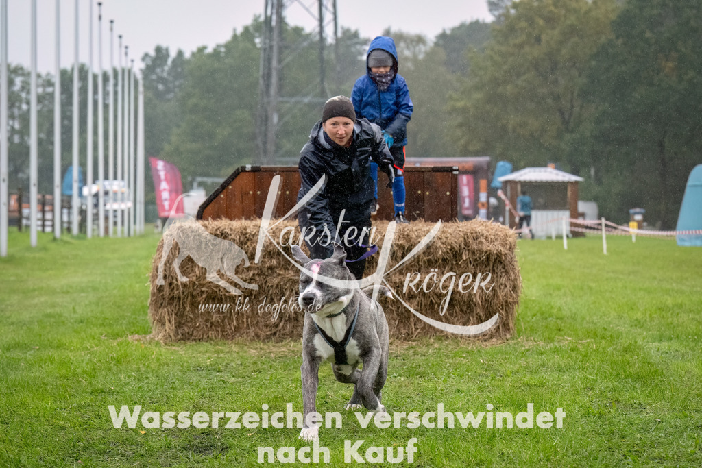 0924-_ZZ94003-Bearbeitet | kk-dogfotos