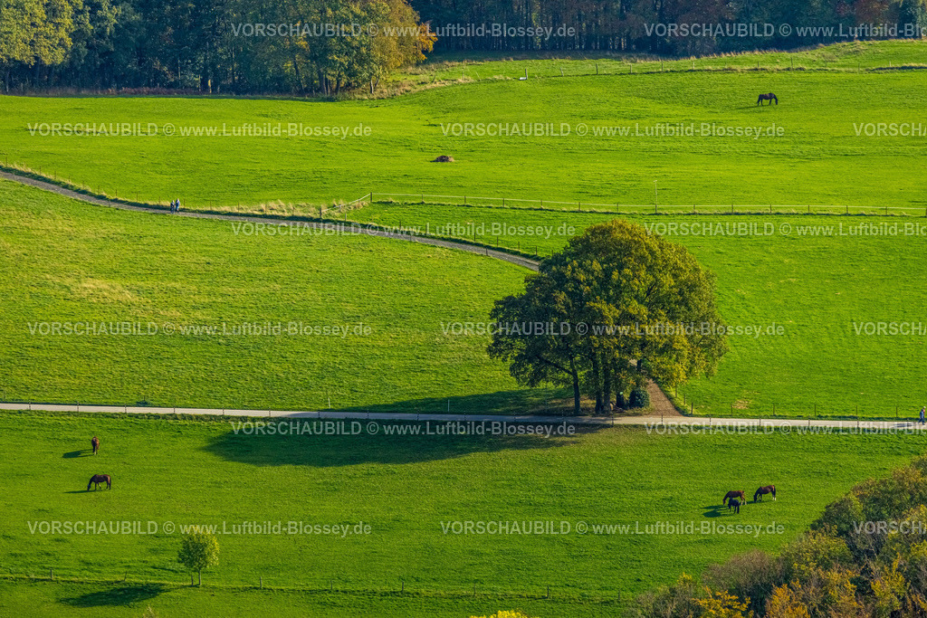 Wetter221017310 | Luftbild, Baum im Feld, Haspe, Hagen, Ruhrgebiet, Nordrhein-Westfalen, Deutschland